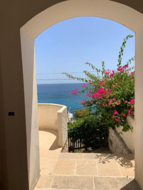 Dame del Mare